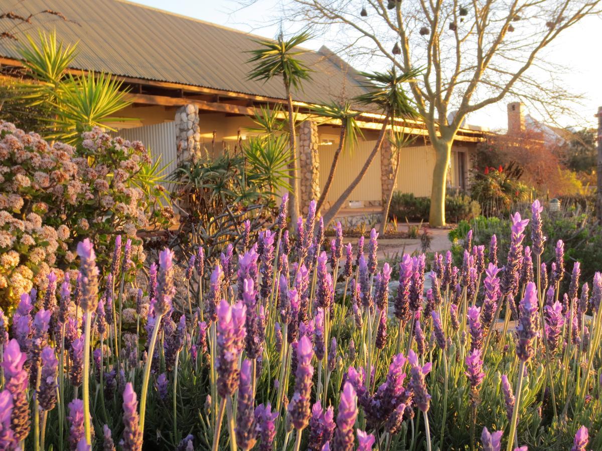 Masada Guest House Langebaan Exterior foto